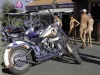 22_Brescoudos_Bike_Week_Village_Naturiste_133