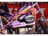 26_Brescoudos_Bike_Week_Show_Bike_14