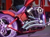 26_Brescoudos_Bike_Week_Show_Bike_16