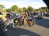 28th BBW Lignan (13)