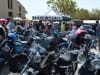 28th BBW Villevayrac (13)