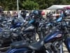 28th BBW Villevayrac (17)