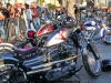 29th BBW Bike Show (388)