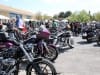 29th BBW Villeveyrac (118)