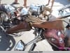 31th BBW Le Cap d\'Agde - Centre port (6)