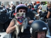 34th-Brescoudos-Bike-Week-Esplanade-Racine-101