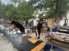 35th-BBW-Cazouls-lez-Beziers-85