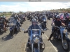 35th-BBW-Patrick-251