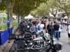 35th-BBW-Sete-4