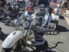 36th-BBW-Grau-dAgde-59