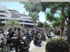 36th-BBW-Rambla-du-Soleil-199