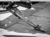 32th-bis-BBW-Le-Grau-dAgde-98