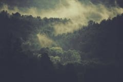 unsplash-2016-34