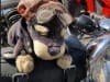 28th BBW Grau d'Agde (34)