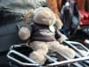 29th BBW Village naturiste (656)