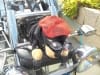 BRESCOUDOS Chantal 530