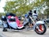 DSC_0095 (3)